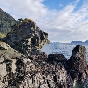 Meet your Posher, Rosalind